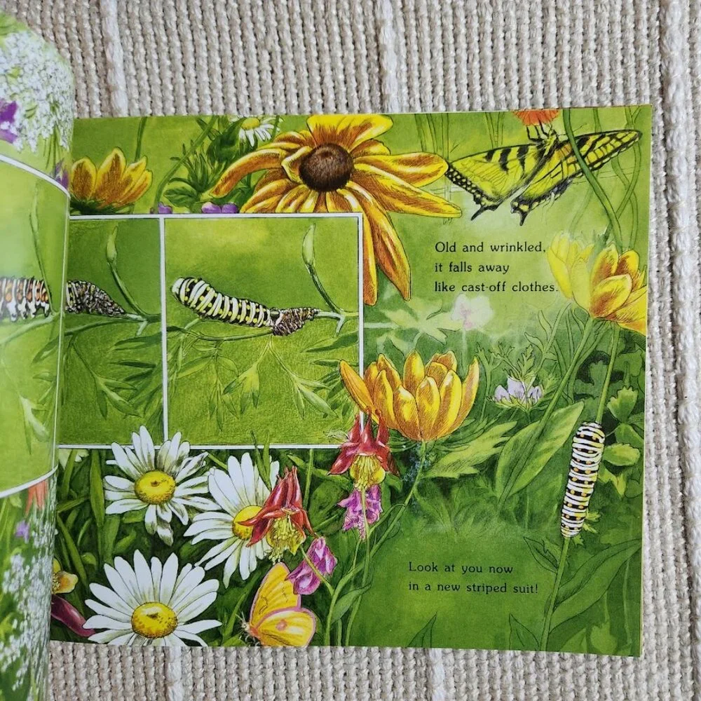Where Butterflies Grow Paperback Book Vintage 1996 Nature Butterfly Life Cycle